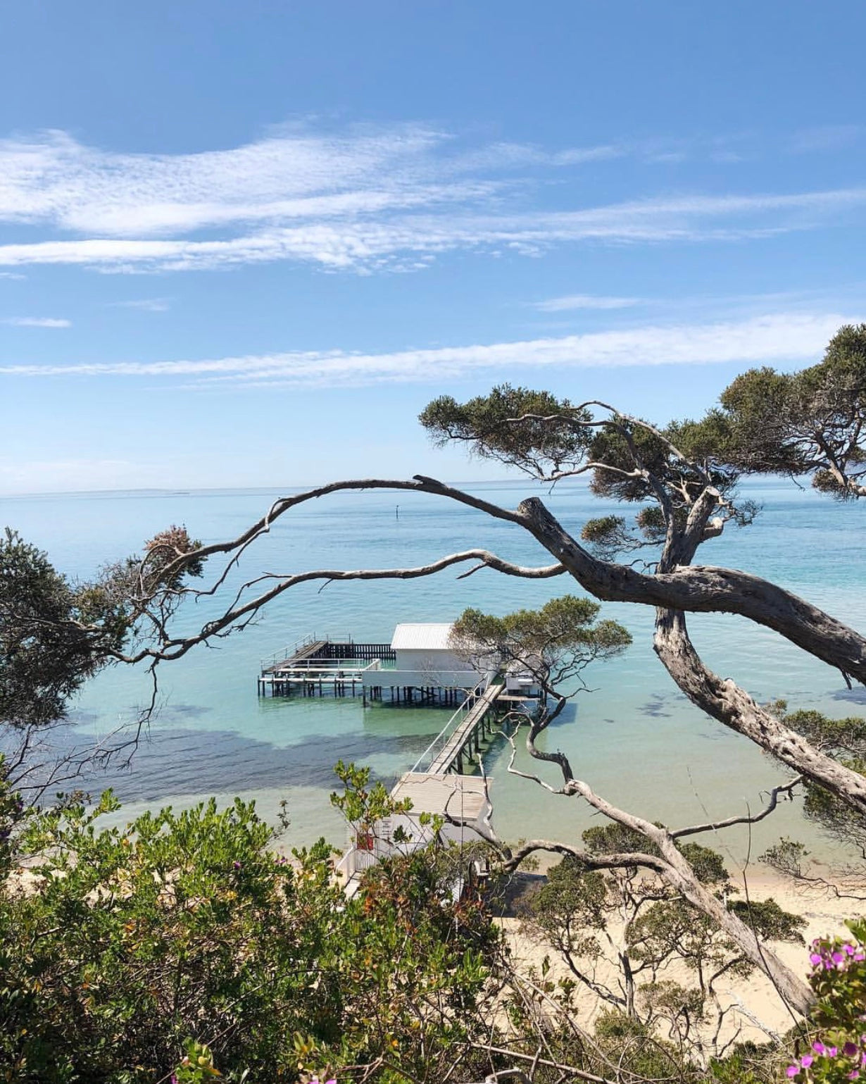Our favourite walks on the Mornington Peninsula