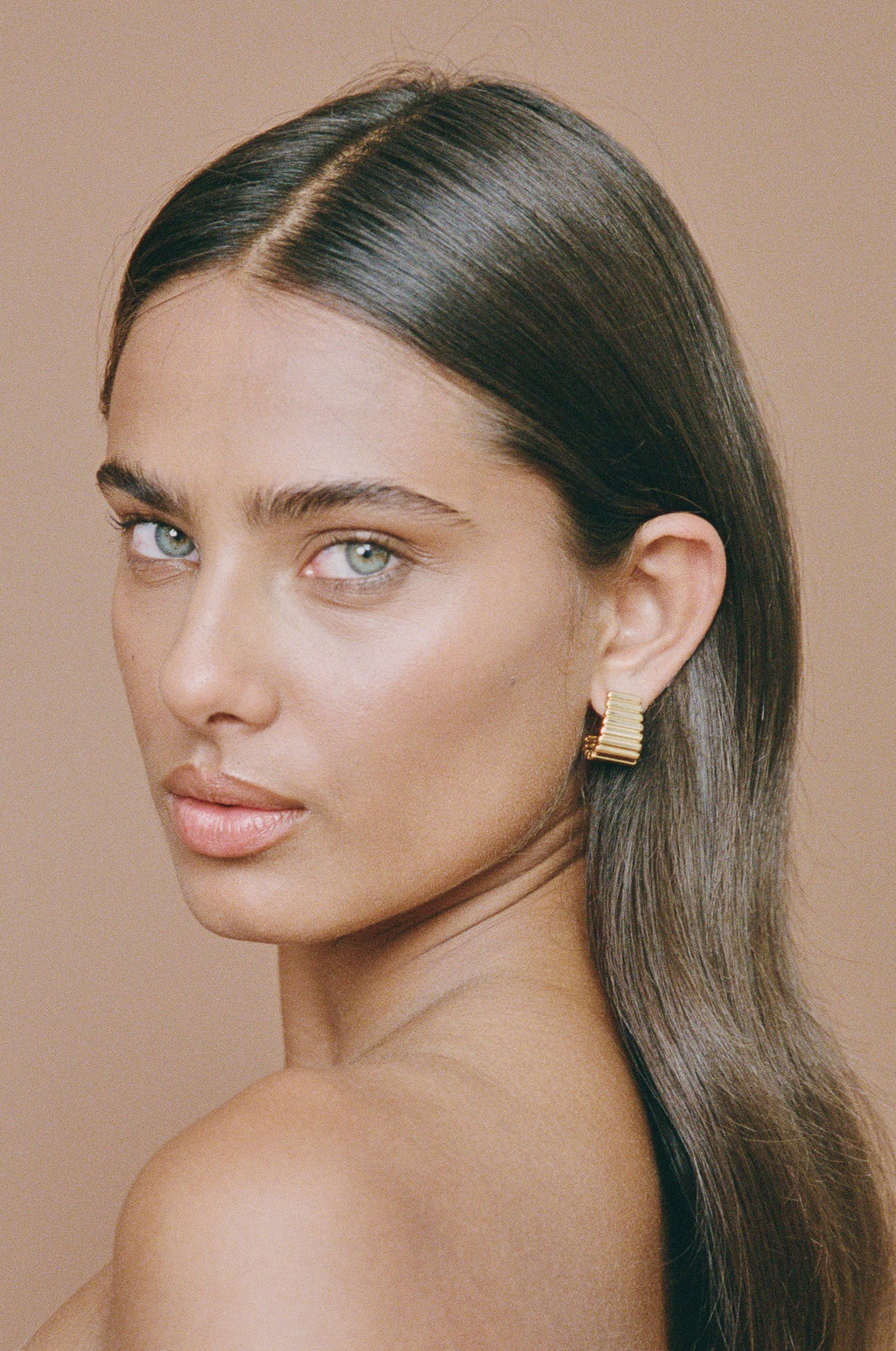 Turtle Earrings - Gold